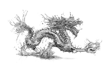 Dibujo titulada "WaterDragon" por Paul Stowe, Obra de arte original, Grafito
