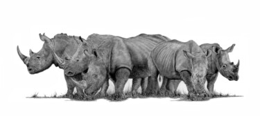 Drawing titled "A Crash of Rhino's" by Paul Stowe, Original Artwork, Graphite