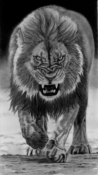 Drawing titled "Predator" by Paul Stowe, Original Artwork, Graphite