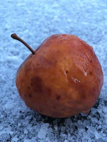 Photography titled "pomme d'hiver" by Paul Yves Poumay, Original Artwork