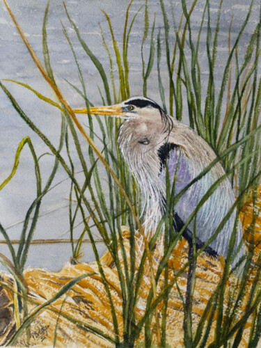 Painting titled "Great Blue Heron in…" by Paula Bridges, Original Artwork, Watercolor Mounted on Other rigid panel