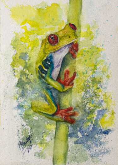 Painting titled "Red Eyed Tree Frog…" by Paula Bridges, Original Artwork, Watercolor Mounted on Other rigid panel
