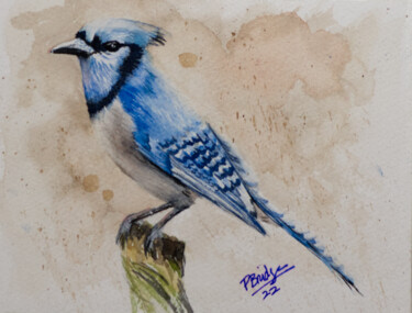 Pintura intitulada "Blue Jay Bird in Wa…" por Paula Bridges, Obras de arte originais, Aquarela Montado em Outro painel rígido