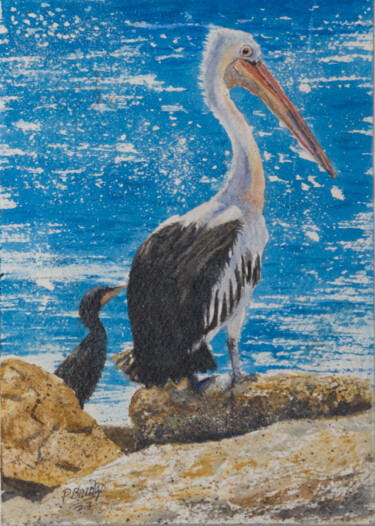 Schilderij getiteld "Pelican on the Rock…" door Paula Bridges, Origineel Kunstwerk, Aquarel Gemonteerd op Andere stijve pane…
