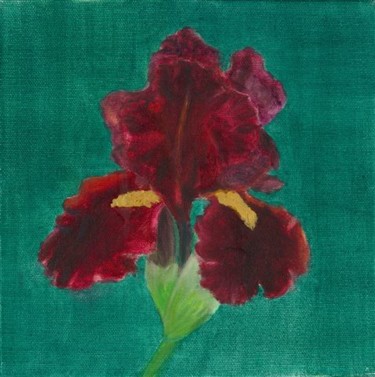 Painting titled "Red Iris" by Paula Emery, Original Artwork, Oil