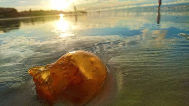 Fotografia intitulada "Jellyfish" por Paula Leitão Baroseiro, Obras de arte originais, Fotografia Não Manipulada