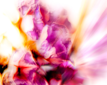 Abstract flower Фотография под названием "Abstract flower" - Paul'Ana, Подлинное произведение искусства, Цифровая фотография