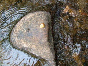 Fotografía titulada "Una piedra que se d…" por Paula Reschini, Obra de arte original