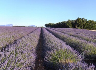 「les couleurs, les o…」というタイトルの写真撮影 Paule-Andree Maravalによって, オリジナルのアートワーク