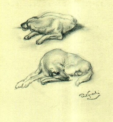 Drawing titled "Labrador" by Paul Gosselin, Original Artwork, Other