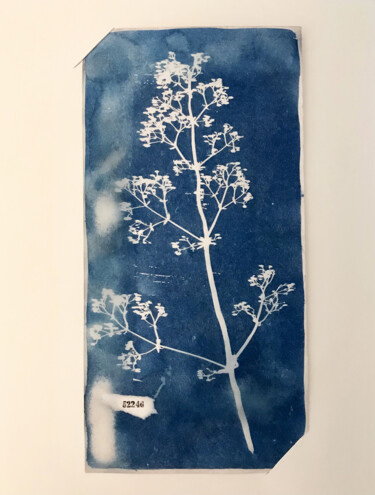 Fotografie getiteld "Cyanotype 52246" door Pauline Della Pera, Origineel Kunstwerk, Film fotografie