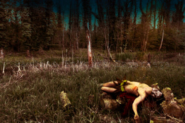Photographie intitulée "La mort du cerf" par Pauline Foucart Escarcega, Œuvre d'art originale, Photographie numérique