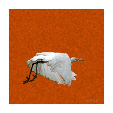 garça voando sobre o vermelho Digital Arts titled "garça voando sobre…" by Paulo Celso Marcondes De Salles, Original Art, 2D Digital Work