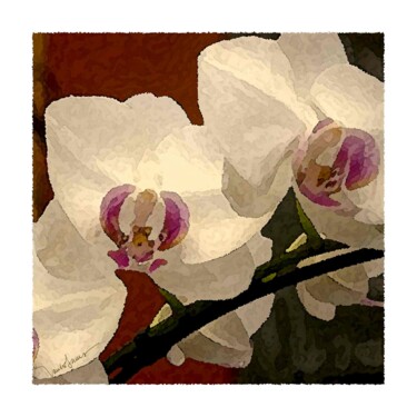 Arte digitale intitolato "orquídea 05b" da Paulo Celso Marcondes De Salles, Opera d'arte originale, Pittura digitale