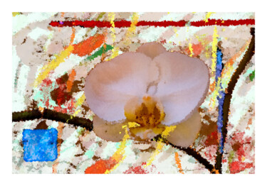 Grafika cyfrowa / sztuka generowana cyfrowo zatytułowany „orquídea e quadrado…” autorstwa Paulo Celso Marcondes De Salles, O…