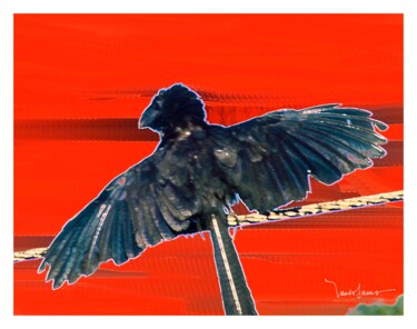 Digitale Kunst mit dem Titel "blackbird me respon…" von Paulo Celso Marcondes De Salles, Original-Kunstwerk, Digitale Malerei