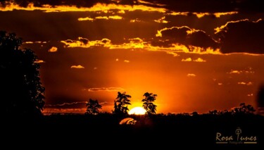 Photographie intitulée "POR SOL SAMAVI" par Paulo Gêneses, Œuvre d'art originale, Photographie numérique