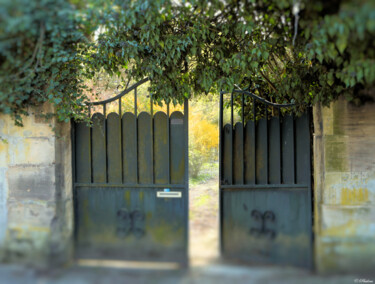 Fotografia intitulada "Vers le jardin" por Paulous, Obras de arte originais, Fotografia digital Montado em Alumínio