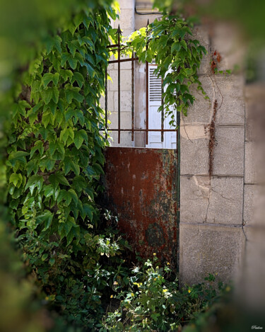 Photographie intitulée "Petite grille" par Paulous, Œuvre d'art originale, Photographie numérique