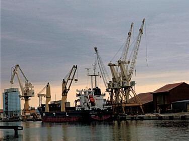 Fotografia intitulada "Fouillis de grues" por Paulous, Obras de arte originais, Fotografia digital Montado em Alumínio