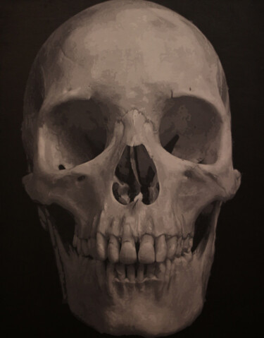 Painting titled "skull" by Paul Schintu, Original Artwork, Acrylic