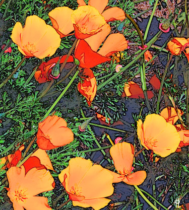 Digital Arts titled "California Poppies" by Jim Pavelle, Original Artwork