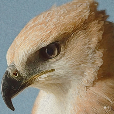 Digital Arts titled "Hawk-eyed" by Jim Pavelle, Original Artwork