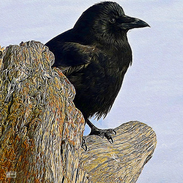 Digital Arts titled "Ravenish" by Jim Pavelle, Original Artwork
