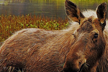 Digital Arts titled "Moistly Moose" by Jim Pavelle, Original Artwork