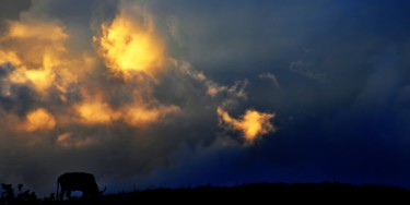 Photographie intitulée "la colline et ses e…" par Le Sage Coyote, Œuvre d'art originale