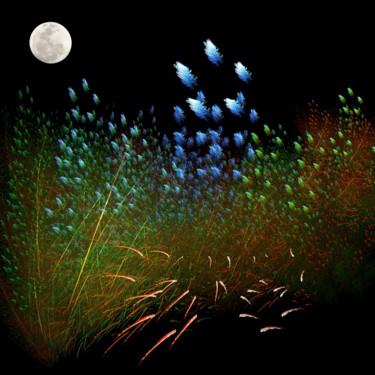 Arts numériques intitulée "-140308-5-lune-haut…" par Le Sage Coyote, Œuvre d'art originale, Travail numérique 2D