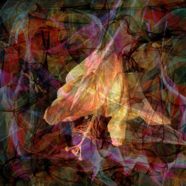Arts numériques intitulée "Ibiscus de Guadelou…" par Le Sage Coyote, Œuvre d'art originale, Travail numérique 2D
