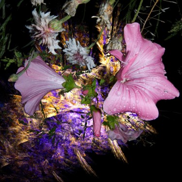 Digital Arts titled "-140707-17-2-fleurs…" by Le Sage Coyote, Original Artwork, 2D Digital Work