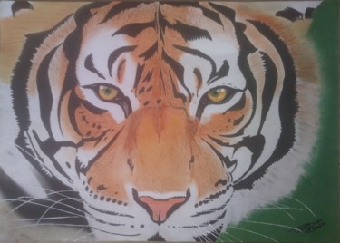 Рисунок под названием "Tigre" - Paxton Tubind, Подлинное произведение искусства, Пастель