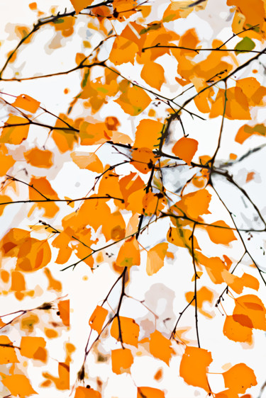 Arts numériques intitulée "Seasons Change" par Emmanuel Payet, Œuvre d'art originale