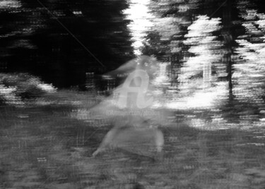 Photographie intitulée "Le fantôme de la fo…" par Pierre Boillon, Œuvre d'art originale, Photographie argentique
