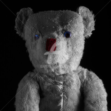 Photographie intitulée "Mon ours" par Pierre Boillon, Œuvre d'art originale, Photographie numérique