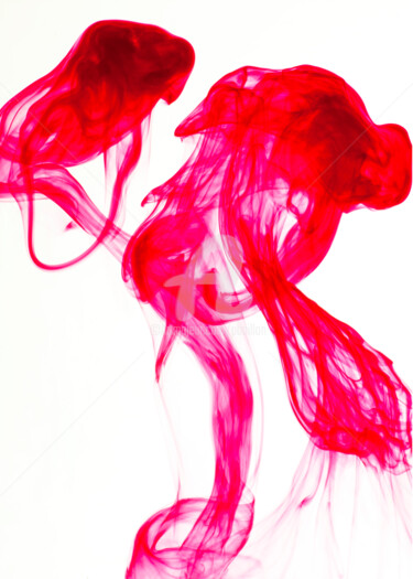 Fotografia intitolato "Poissons rouges" da Pierre Boillon, Opera d'arte originale, Fotografia digitale Montato su Plexiglass