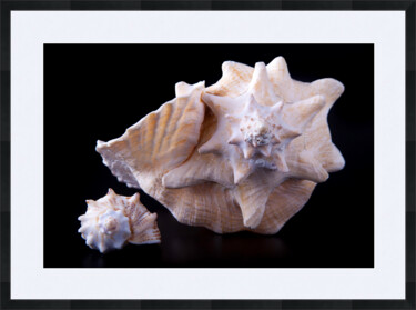 Golden ratio Photographie intitulée "Golden ratio" par Pavel Bredikhin, Œuvre d'art originale, Photographie numérique Monté sur Châssis