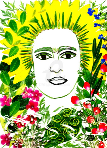 Painting titled "fridasunflowerjune1…" by Drapala Gallery, Original Artwork