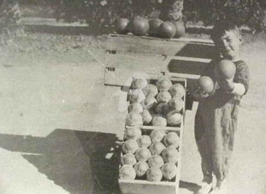 Photography titled "Boy_with_Oranges.jpg" by Drapala Gallery, Original Artwork