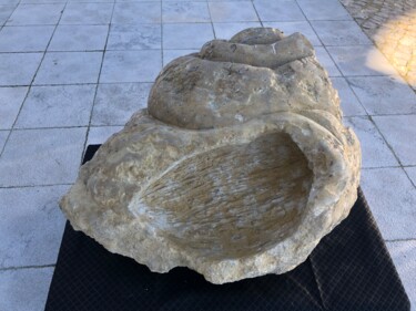 Escultura intitulada "Búzio fóssil" por Pedro Botelho, Obras de arte originais, Pedra