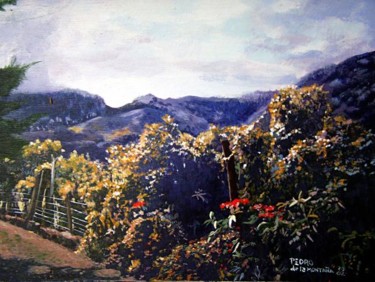 Painting titled "My front yard" by Pedro De La Montaña, Original Artwork