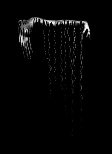 Fotografia zatytułowany „Wing” autorstwa Pedro Noir, Oryginalna praca, Fotografia cyfrowa Zamontowany na Drewniana rama noszy