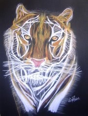Pintura intitulada "Tigre" por Pedro Ribeiro, Obras de arte originais