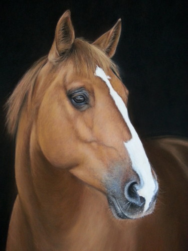 Painting titled "Portrait de cheval" by Cathy Cheneau, Original Artwork, Pastel