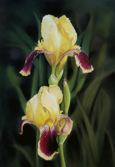 Ζωγραφική με τίτλο "Iris de mon jardin" από Cathy Cheneau, Αυθεντικά έργα τέχνης, Παστέλ