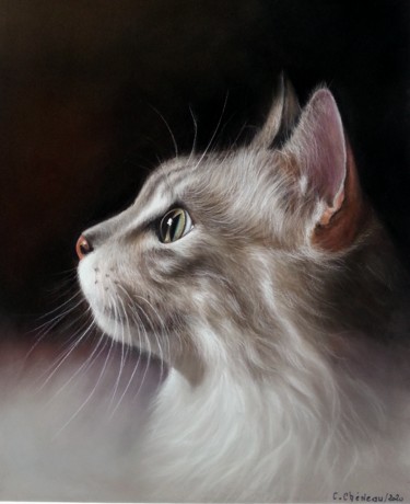 Schilderij getiteld "Chat au clair de lu…" door Cathy Cheneau, Origineel Kunstwerk, Pastel