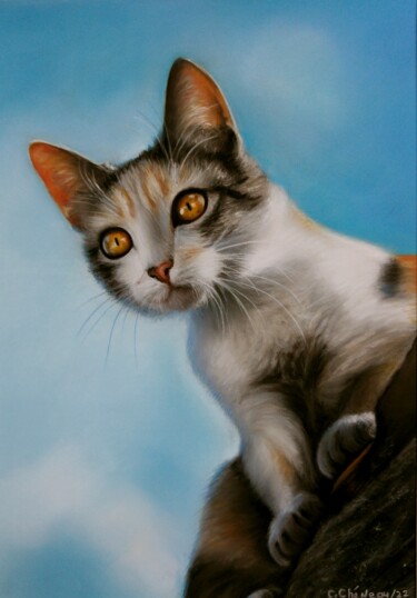 Painting titled "Chat sur le toit" by Cathy Cheneau, Original Artwork, Pastel