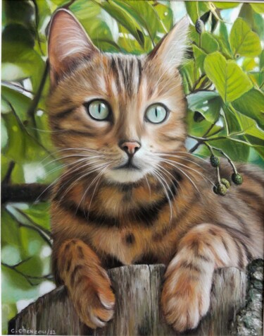 Painting titled "Chat sur la souche" by Cathy Cheneau, Original Artwork, Pastel